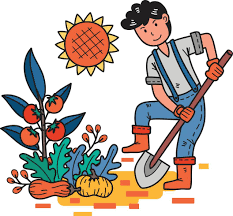 Fatturato 11.500.000